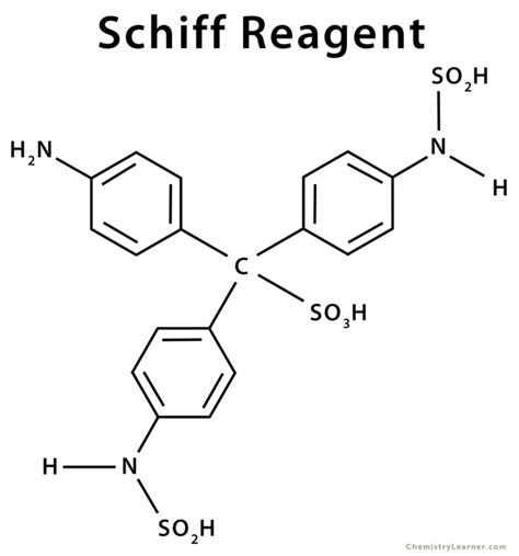 Schiff Reagent: Definition, Formula, and Preparation .